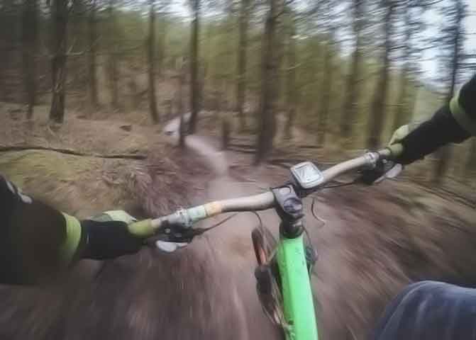 批量发送短信的平台