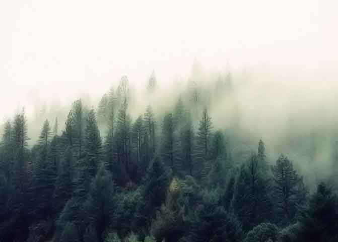 中国移动防电话轰炸